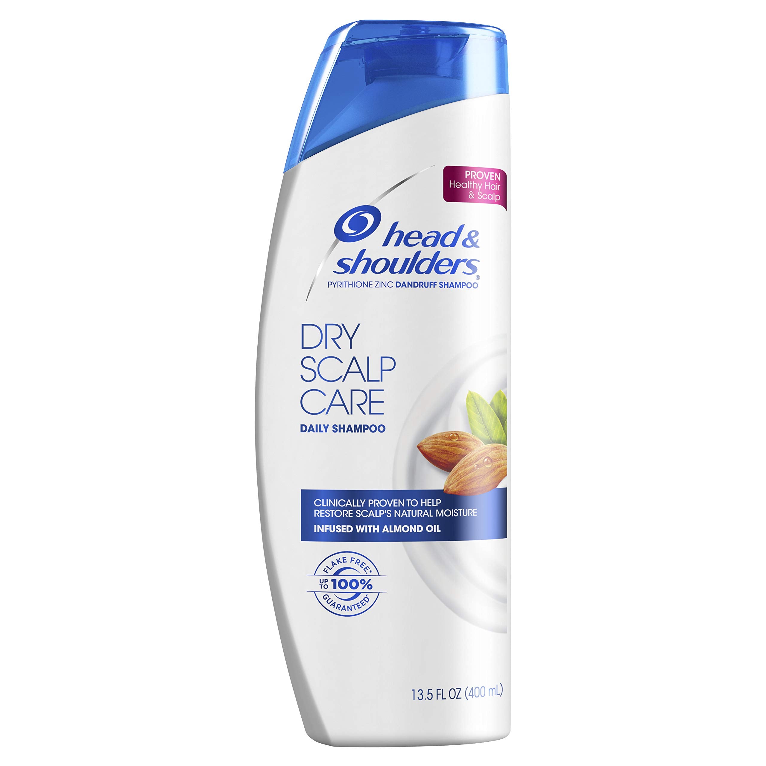 Head & Shoulders Shampoo Dry Scalp 72HR (400ML)